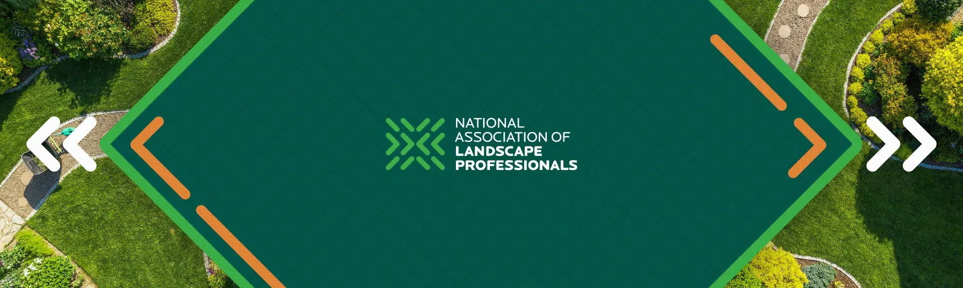 NALP-portfolio-header-new
